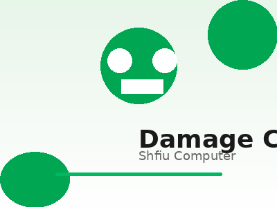 Damage Coverage